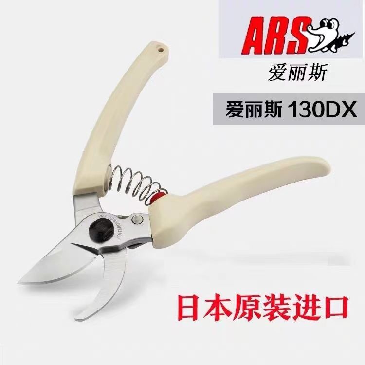 Pruning scissors, garden tools - Gardening Tools In Japan review and price