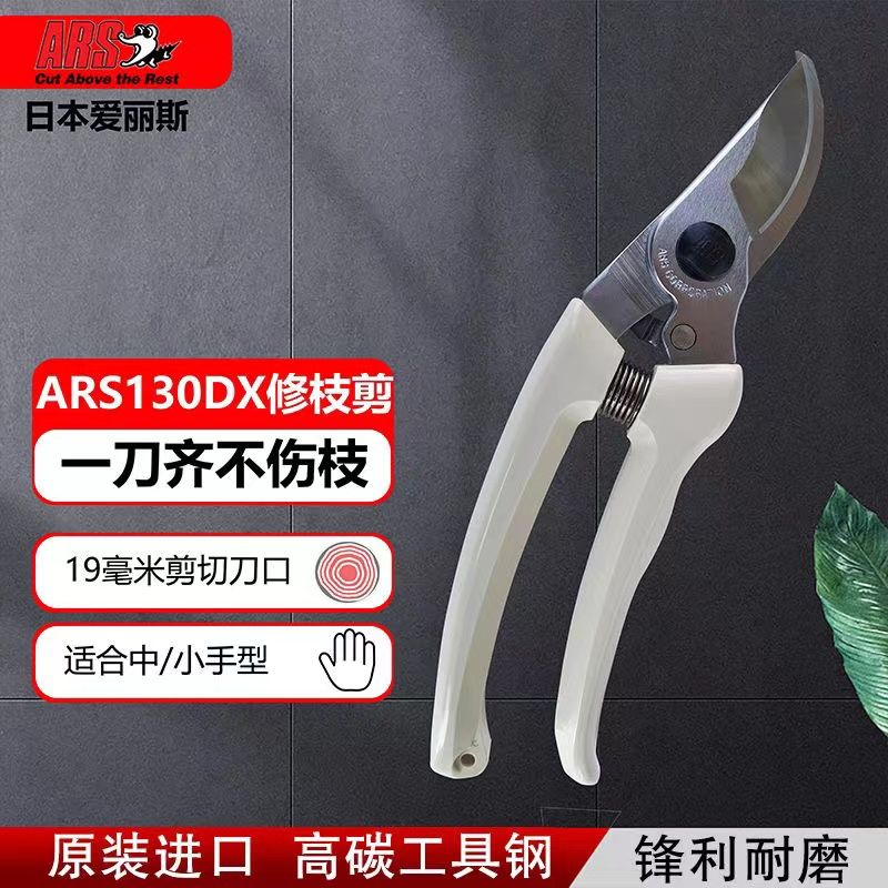 Pruning scissors, garden tools - Gardening Tools In Japan review and price