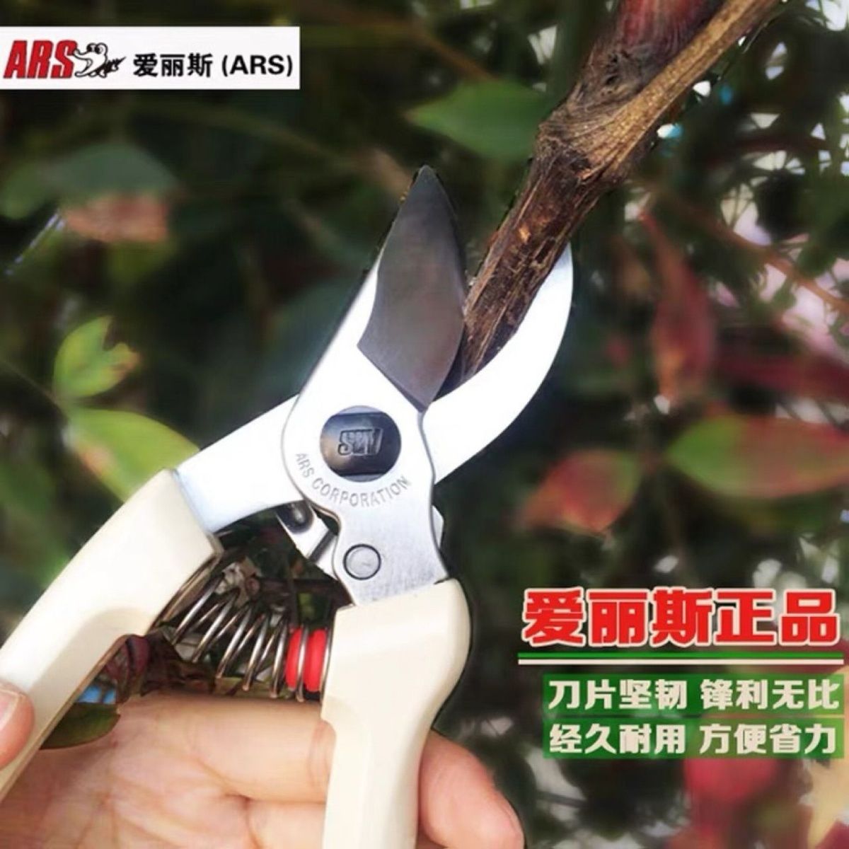 Pruning scissors, garden tools - Gardening Tools In Japan review and price