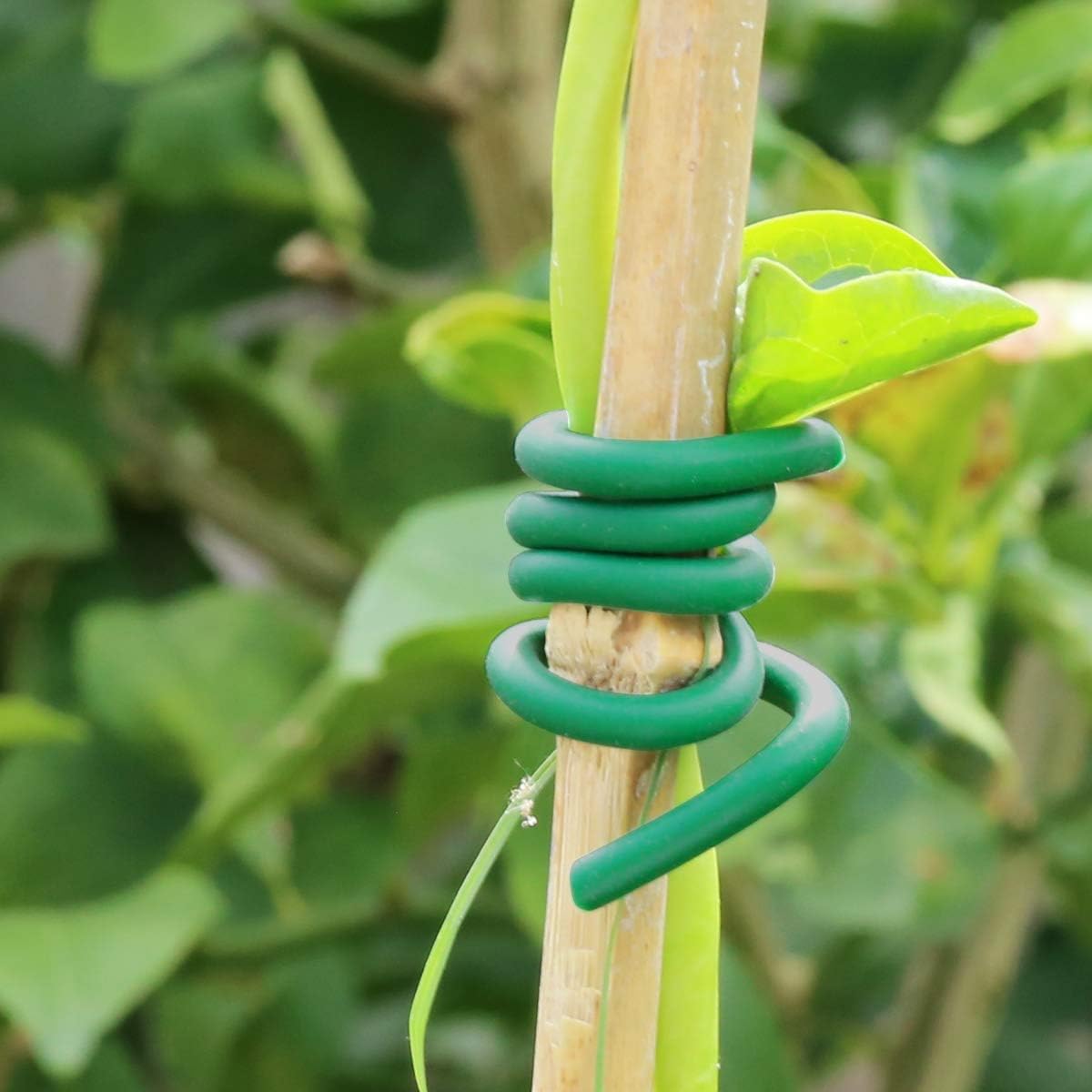 Garden Plants Climbing Tie Gre - Garden Wire Twist Tie review and price