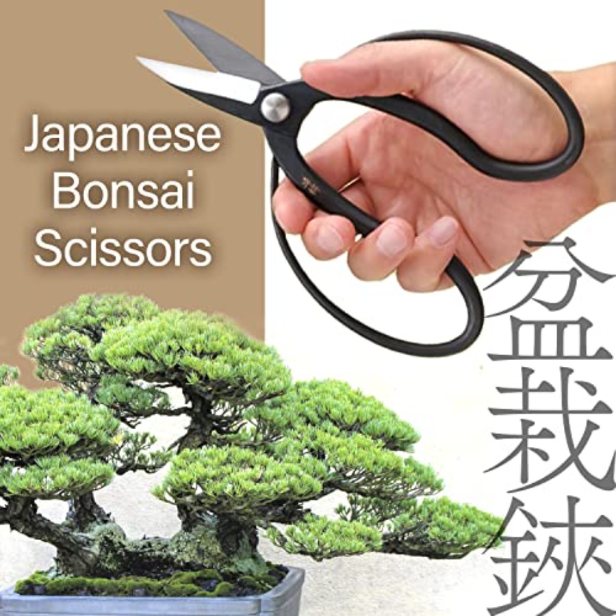 Japanese Suiryu Bonsai Scissor - Gardening Tools In Japan review and price
