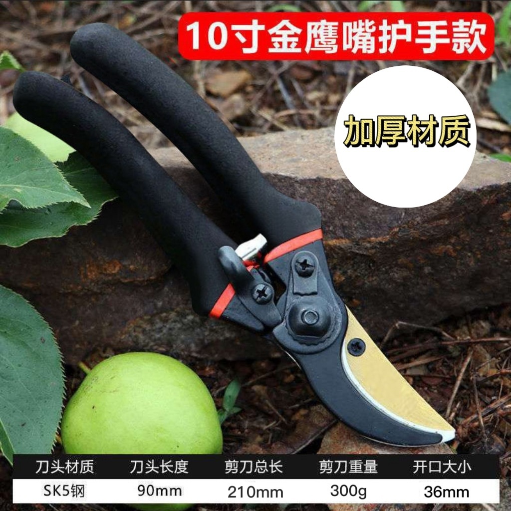 Japan Thickened SK5 Steel Bran - Gardening Tools In Japan review and price