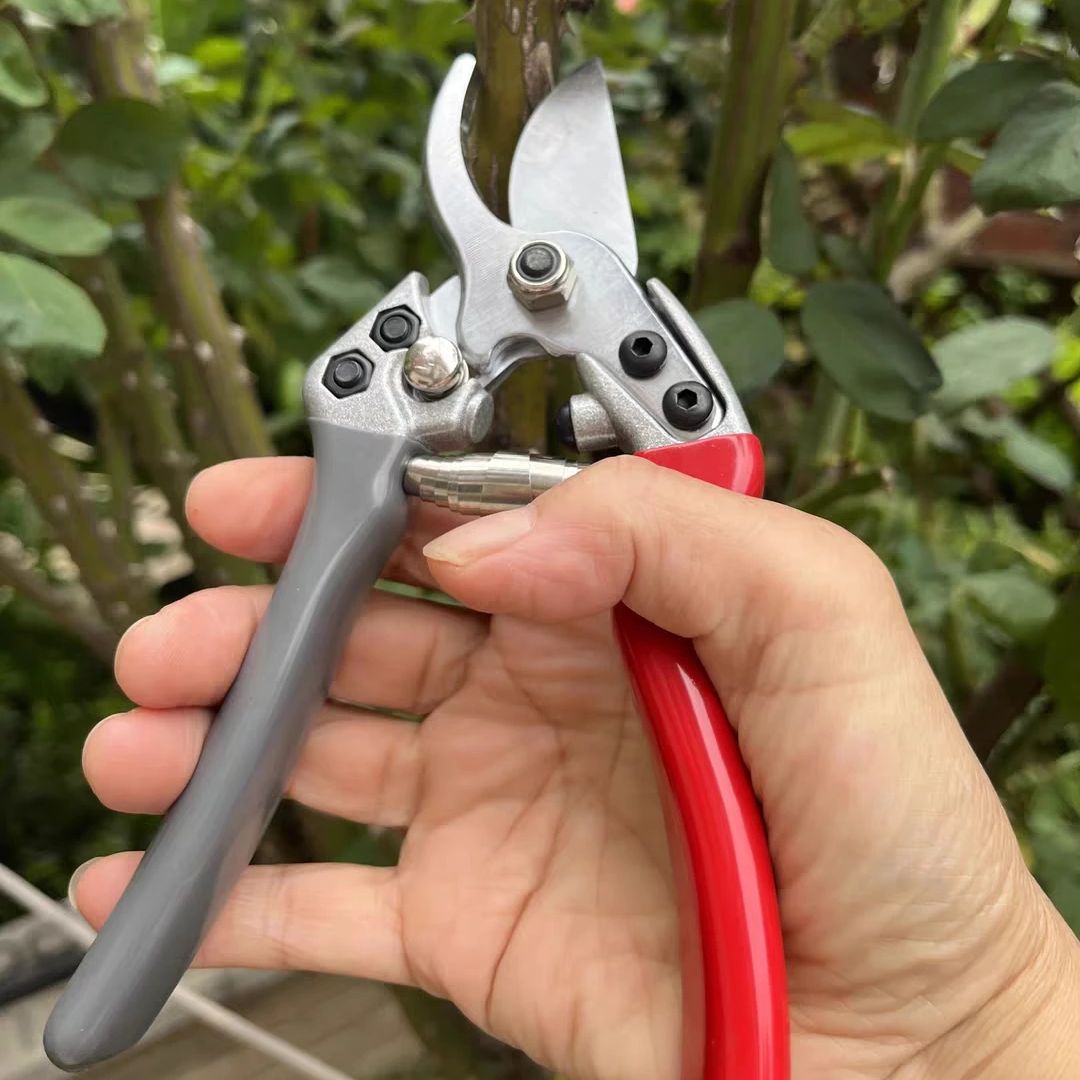 Japan Vvt New Sk5 Strong Garde - Gardening Tools In Japan review and price